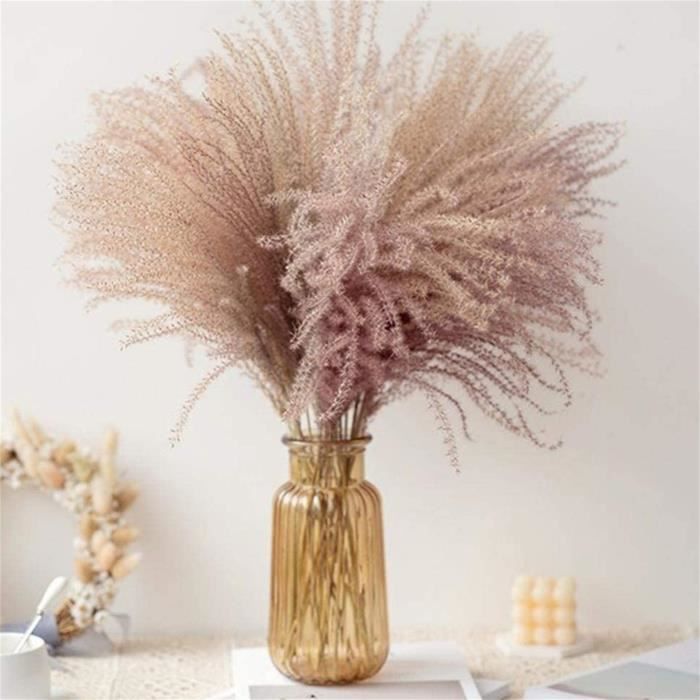 DECORATION DE L'HABITAT Herbe de pampa 60 cm Fleur séchée naturelle Fleurs  séchées décoratives Artificia T437 Comme montré - Cdiscount Maison