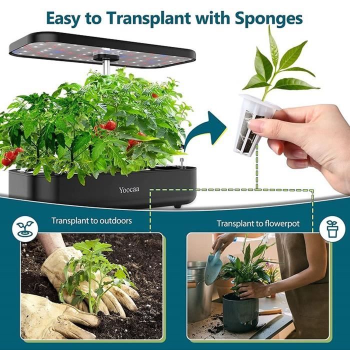 Semoir Super Seeder avec 6 disques de semis pour légumes - Profondeur  réglable - 3 distances de semis différentes - Cdiscount Jardin