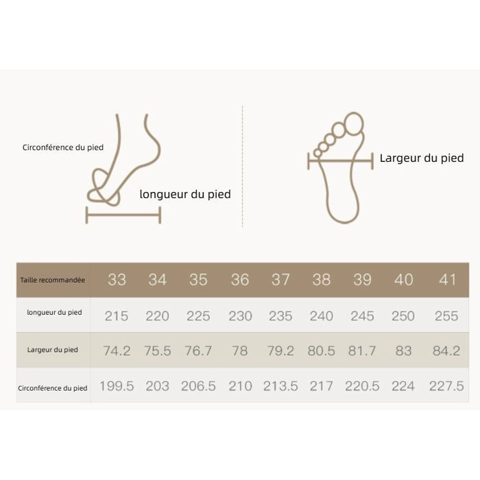 Pied 25 Cm Pointure Chaussure Guide Taille Pointure 25 Cm Pied