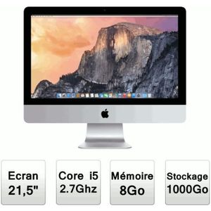 ORDINATEUR TOUT-EN-UN Apple Tout en Un CTO iMac 21,5