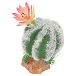DÉCO ARTIFICIELLE FYDUN décoration de plantes de cactus artificielles Décoration de Plantes de Reptiles, Plantes de Cactus animalerie fond