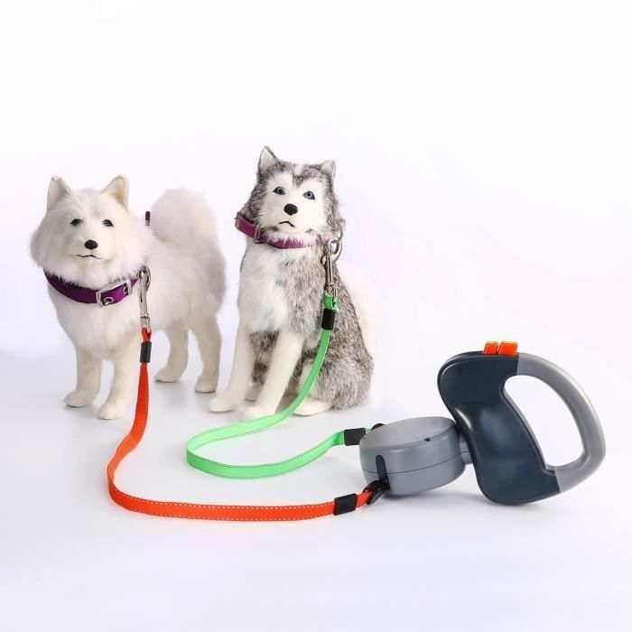 TEMPSA Laisse pour Double Chien Enrouleur Rétractable 50 Lbs 3 Mètre Pet Puppy Walking gris