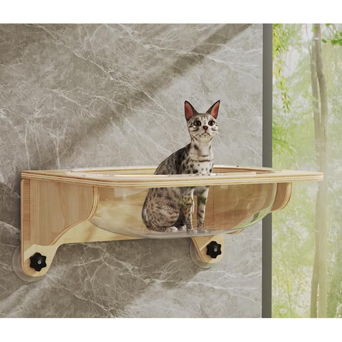 Comparer les prix de ECELEN Hamac Mural Transparent pour Chat avec Ventouses-Lit Suspendu en Forme de Capsule pour Fenêtre,Mur,Intérieur,Arbre à Chat