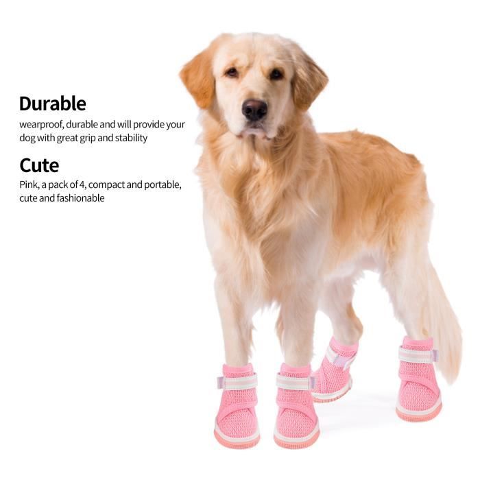 Meilleurs prix pour Chaussures en maille pour chien AKOZON - Respirantes et légères - Blanc