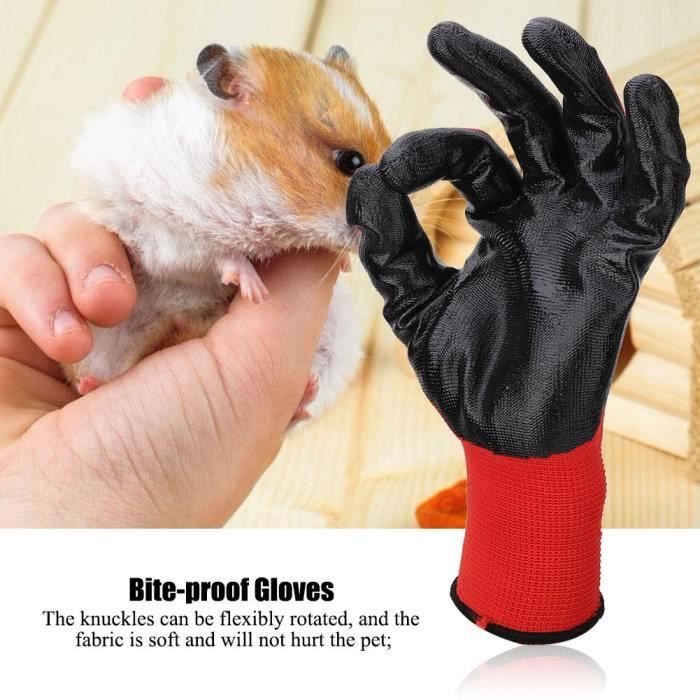 gants de manipulation