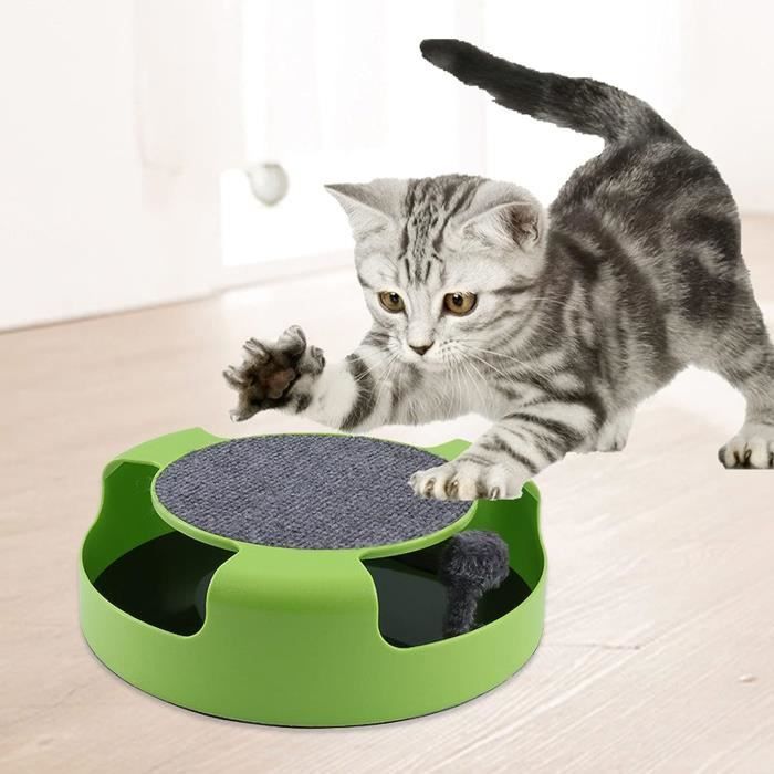 Catch the mouse top motion cat toy