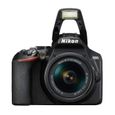 Nikon Kit Reflex numérique D3500 + AF-P DX 18-55 f/3.5-5.G VR Noir-3