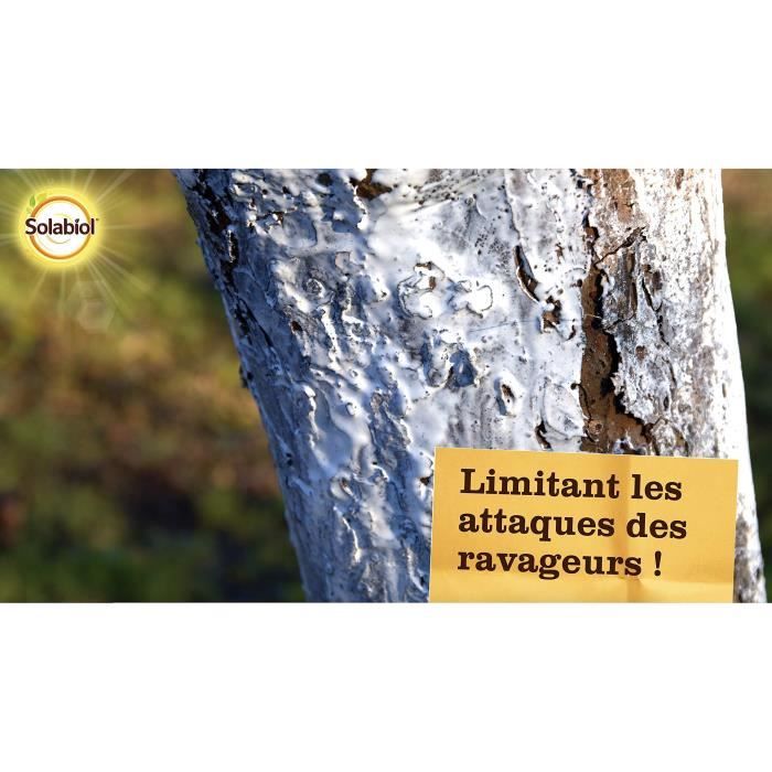 Blanc arboricole seau - SOLABIOL - 3 L - Pour protéger les troncs des  arbres fruitiers - Cdiscount Jardin