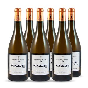 VIN BLANC Vignoble de la Papinière PAPINIUM BLANC Blanc 2018