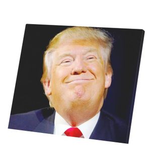 TABLEAU - TOILE Tableau Décoratif  Donald Trump Est Content Usa Pr