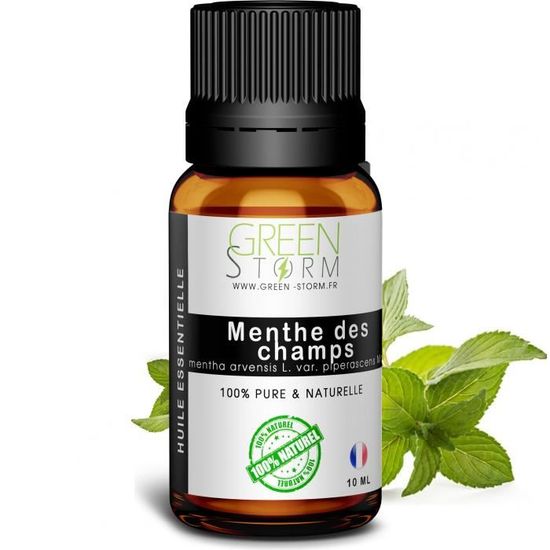 Huile Essentielle de Menthe des champs (10 ML) Cdiscount Santé — free download