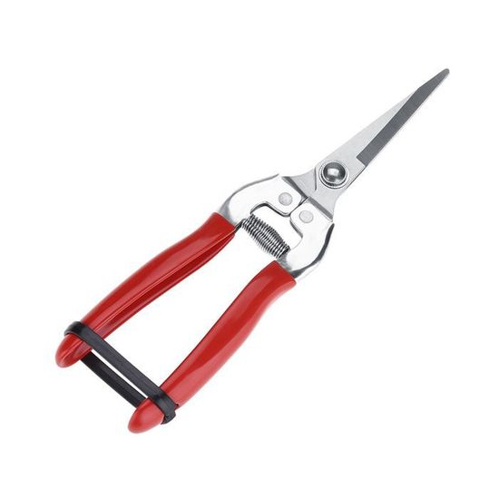 Ciseaux à Bonsaï En Acier 7,9 Pouces - Outils De Taille Précis Pour Jardin, Branches Et Plantes