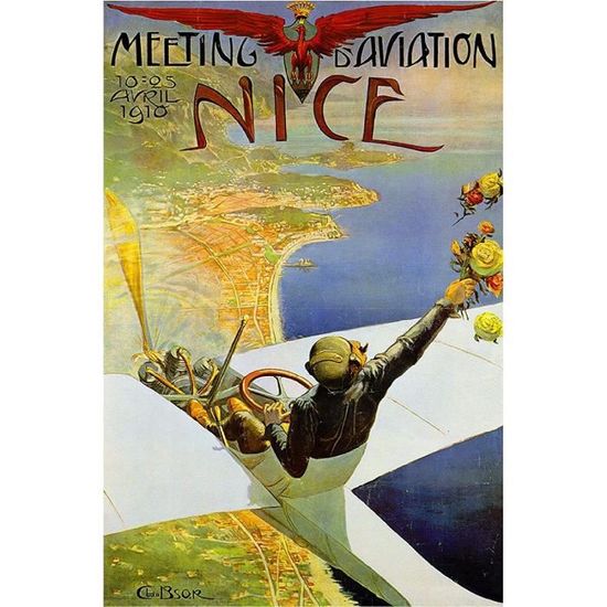 Plaque Metal Decoration Plaque Murale Vintage Raton Laveur - Décoration Drôle Pour Salle De Bain Et Toilettes - Métal Étain Rétro Plaque étain Rétro