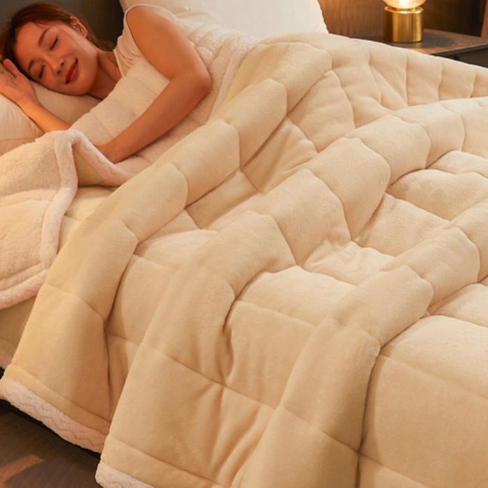 Couverture polaire pour lit double 200cmX230cm Couverture dhiver douce et chaude en flanelle Beige LINGE DE LIT / COUETTE
