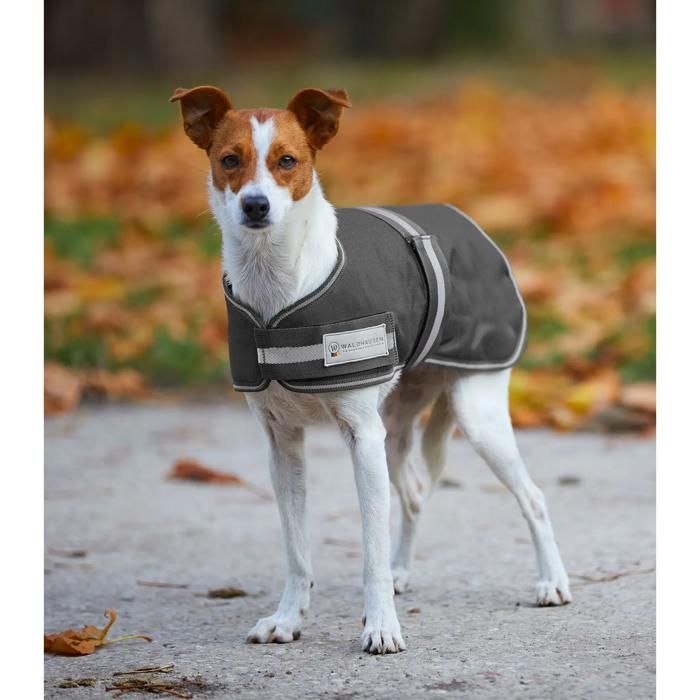 Imperméable pour chien Waldhausen Comfort - asphalte - Noir - 65 cm