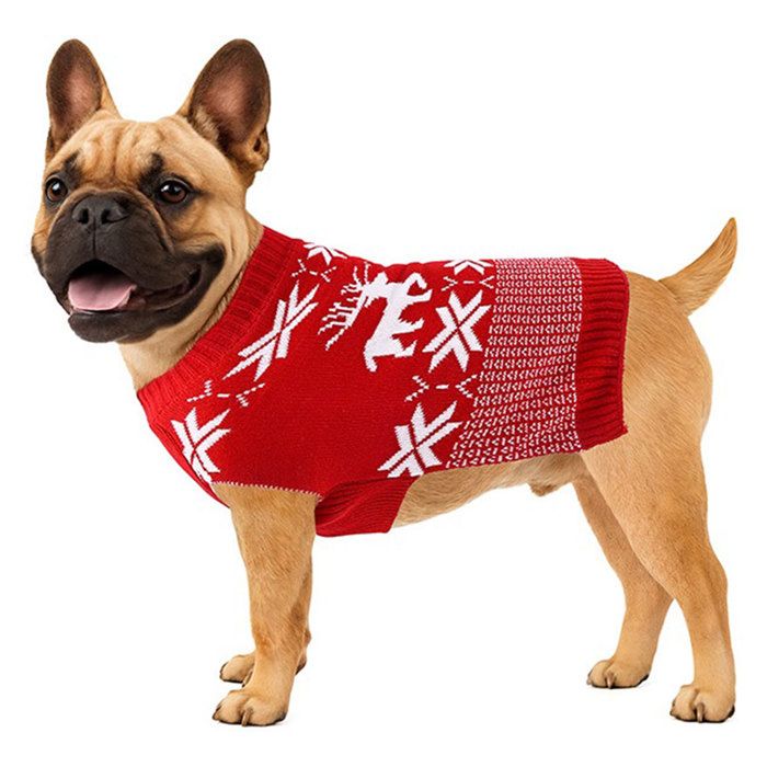 Pull pour chien - Noël - Multicolore - Bordures - Confortable