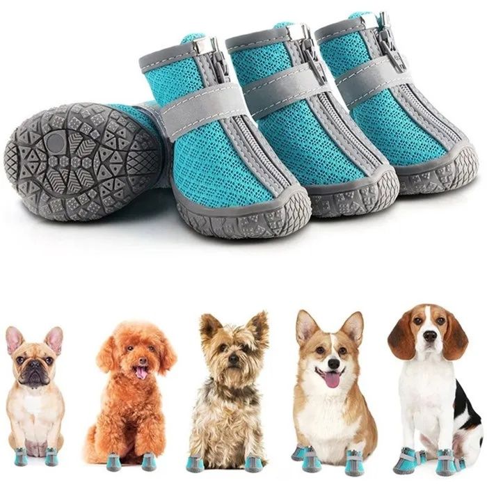 Bottes pour chiens - Bottes dété pour chiens - Chaussures pour petits chiens - Bottes dhiver pour chiots et protège-pattes