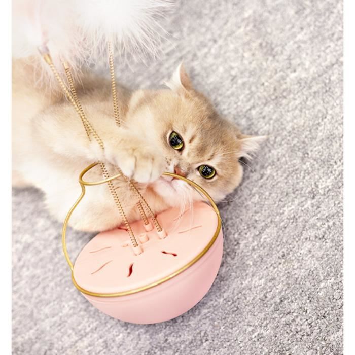 Jouets A Plumes Pour Chats Vase Poussah Avec 3 Plumes Pour Chat Chaton Plume Interactive Baton Jouet Fil Chaser Rose Cdiscount Jouets A Plumes Pour Chats Vase Poussah Avec 3 Plumes Pour Chat Chaton Plume Interactive Baton Jouet Fil Chaser Rose Cdiscount