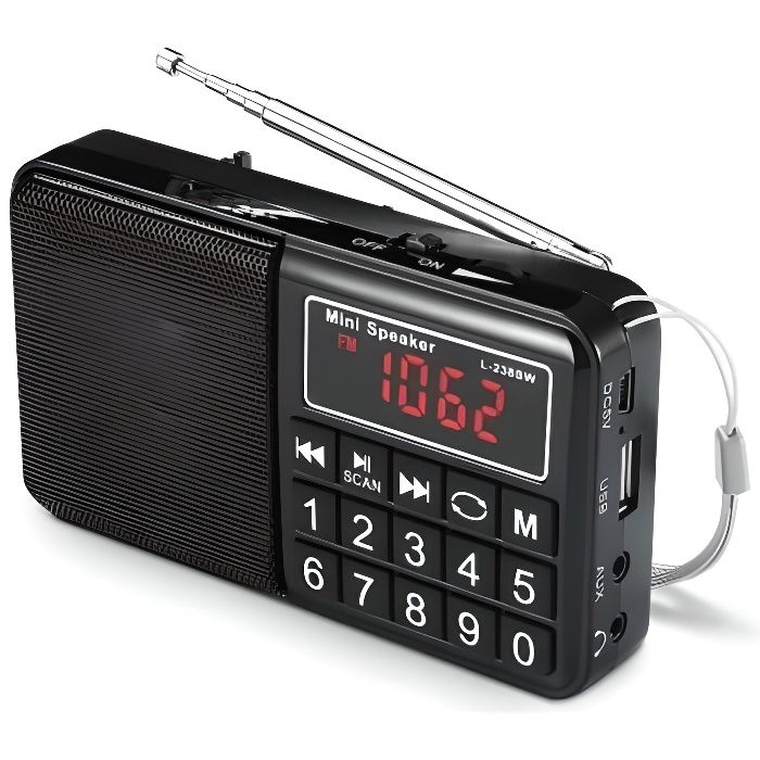 Radio Portable - WE  - AM/FM/SW - Lecteur USB/Micro SD - Batterie Rechargeable 800mAh