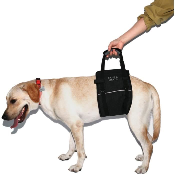 Colliers, harnais et laisses pour chiens NOBLE DUCK Harnais pour 