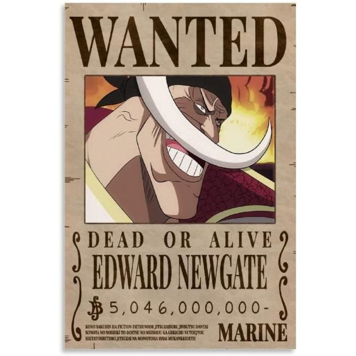 Jienu One Piece Wanted Poster Edward Newgate Anime Peinture Sur Toile Decoration Murale Salon Chambre 30 X 45 Cm 35 Cdiscount Maison
