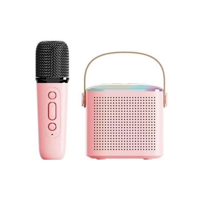 Enceinte Karaoké Portable Avec 2 Microphones Sans Fil - Mini Système Audio MP3
