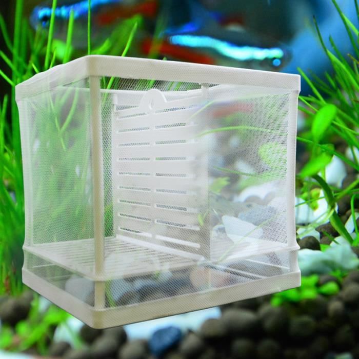 Sopear Pisciculture De Poisson Bricolage Aquarium Pisciculture Incubateur Fry Net Bebe Poisson Ecloserie Isolement Net Boite Re Cdiscount