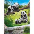 PLAYMOBIL - 70353 - Couple de pandas avec bébé en plastique - Mixte - A partir de 4 ans-1