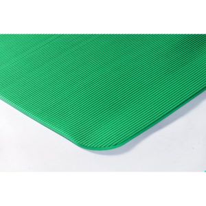 Airex Fitline Tapis de gymnastique