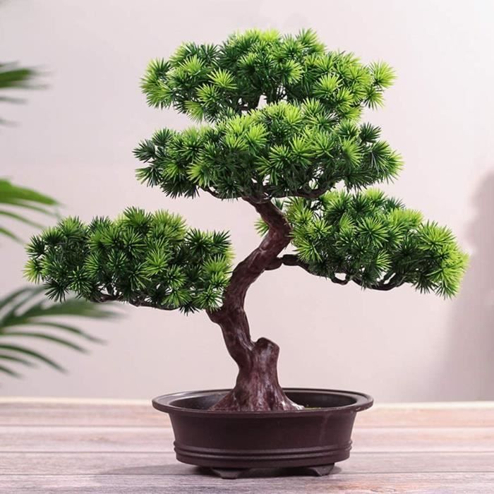 https://www.cdiscount.com/pdt2/5/3/8/2/700x700/auc8180762611538/rw/bonsai-artificiel-arbre-de-plante-en-pot-de-simu.jpg