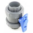 Vanne PVC pour piscine - INTERPLAST - ø 50 mm - Siège de bille réglable - Double union - Poignée bleue-3