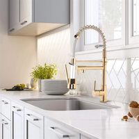 Alpha Kt123 Robinet Mitigeur Double Débit En Laiton Pour Évier De