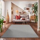 Tapis Salon Moderne - Onirique - Gris Clair - 200 x 290 cm - 100% Polypropylène - CARPETTEX
