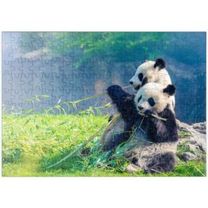PUZZLE Mère Panda Et Son Bébé Panda En Train De Manger Du