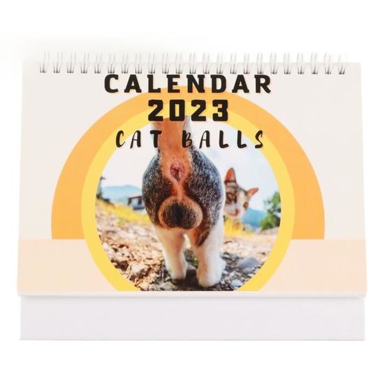 Calendrier Mural 18 Mois 'Siestes Chat' 2025-2026 - Avec 18 Illustrations De Chatons Mignons, Format A4