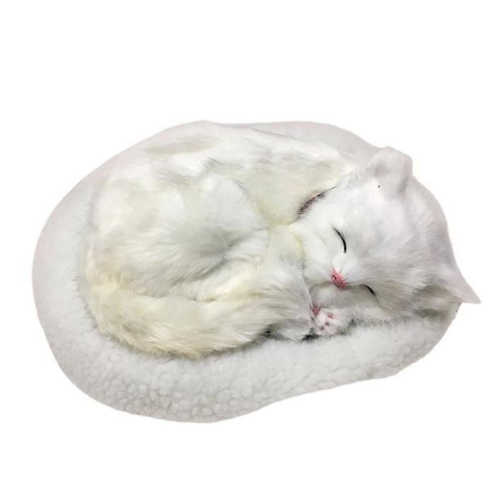 Jouet pour chat endormi poupée en peluche respirante avec tapis décoration de maison et jouet pour enfants. .
