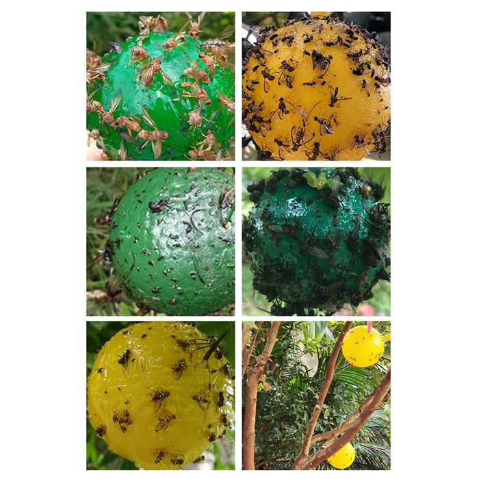 ARAMOX piège collant à mouches Boule de piège à mouches