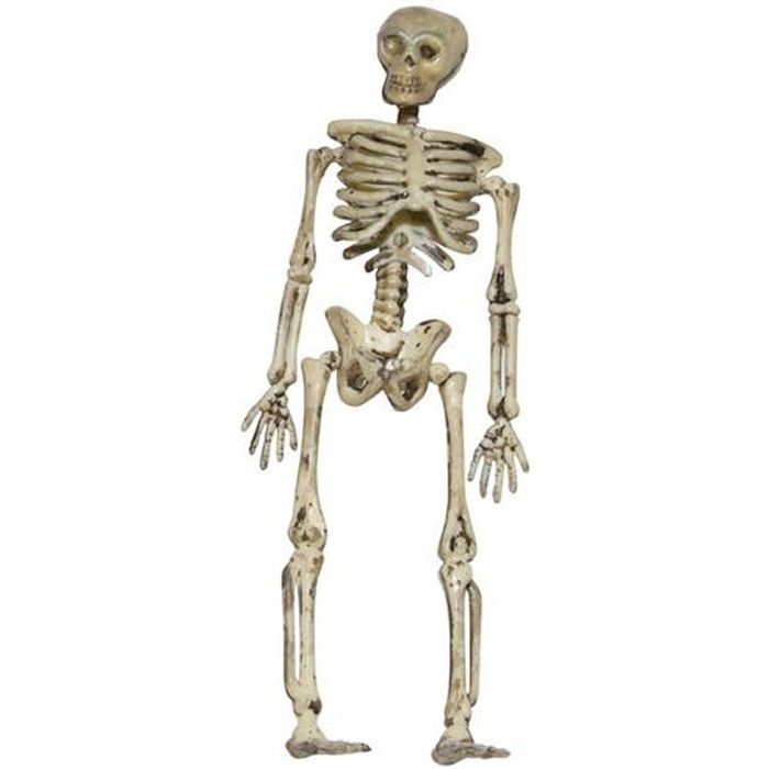 Modèle de squelette de poisson d'Halloween, squelette de poisson simulé