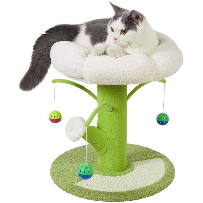 Bingopaw Panier Chat Moelleux Lit Chat Doux Avec Coussin Confortable Fauteuil Chat Sur Pied Pour Chats 40x40x23cm Cdiscount Bingopaw Panier Chat Moelleux Lit Chat Doux Avec Coussin Confortable Fauteuil Chat Sur Pied Pour Chats 40x40x23cm Cdiscount
