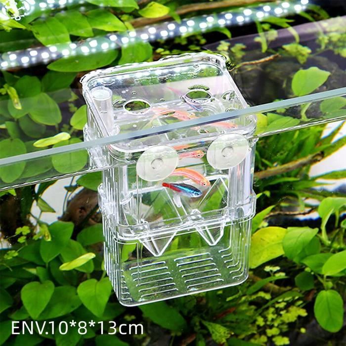 Aquarium Pondoir Boîte D'élevage De Poisson Bébé Poisson Crevettes