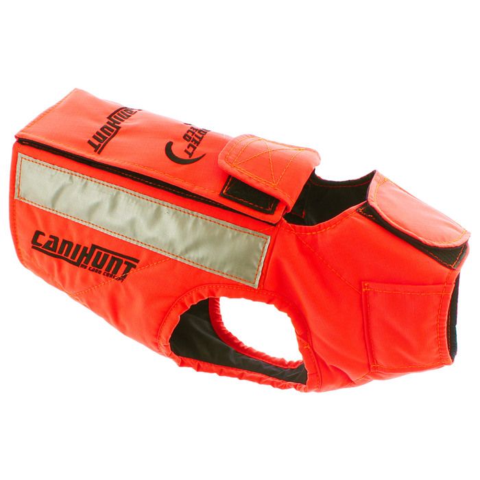 Gilet orange on sale chien