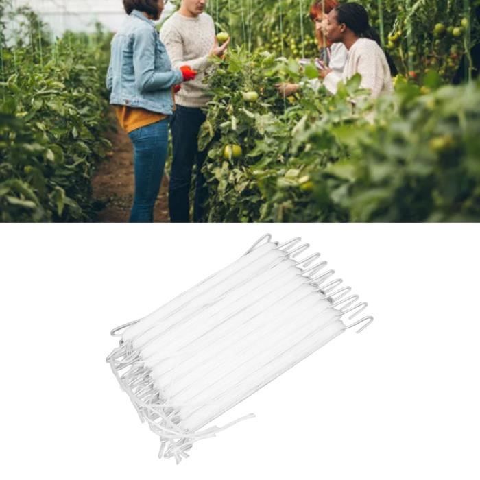 Verdant Touch Lot De 6 Crochets Support Tomates + Corde 15 M – Kit Jardinage Serre, Soutien Plantes Grimpantes Tomates, Concombres, Pastèques