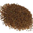GRAINE - SEMENCE  400 piècessac graines de thym rampantes à haut rendement graines de bonsaï vivaces faciles style-Blue1-1