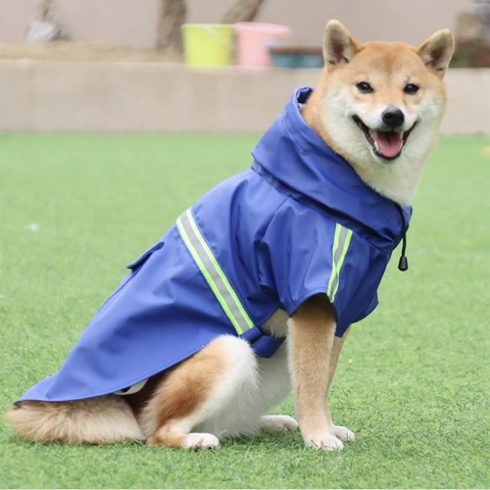 Vetement de top pluie chien