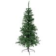 Sapin vert