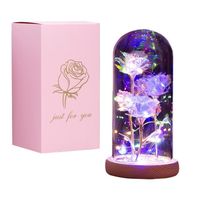 JANZDIYS - Rose Eternelle Sous Cloche-11X22CM-Trois Roses-Avec Lumière LED