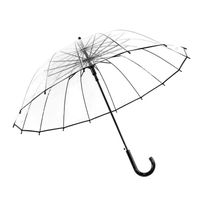 TD® Grand parapluie XXL dome transparent automatique - parapluie pour deux - parapluie pour couple - parapluie Antivent