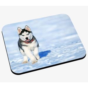 Fabulous Housse De Coussin Chiot Husky Dans La Neige Chien Collier Rouge Yeux Bleus Mignon Canin 40x40cm Ameublement Et Decoration Cuisine Maison Psicologoentarragona Es