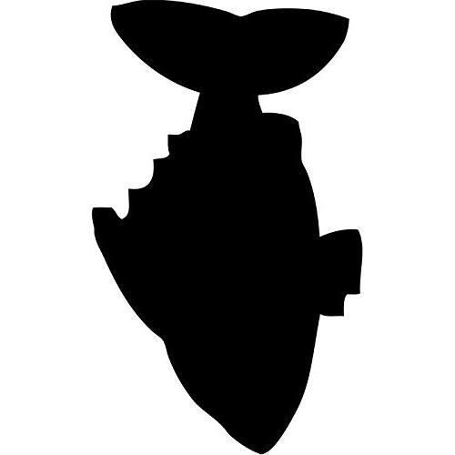 Securit Tableau noir mural en forme de poisson Noir - Securit_FB-FISH
