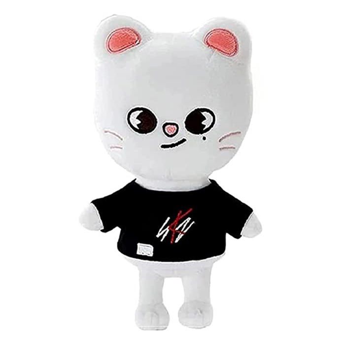 Coussin Lumineux Personnalisé Stray Kids – CréaCat – Carré Blanc